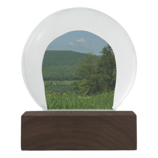 ローレルハイランズペンシルバニア夏の写真 スノーグローブ (正面)