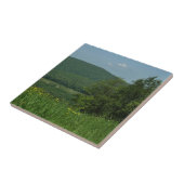 ローレルハイランズペンシルバニア夏の写真 タイル (側面)