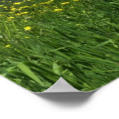 ローレルハイランズペンシルバニア夏の写真 ポスター (角)