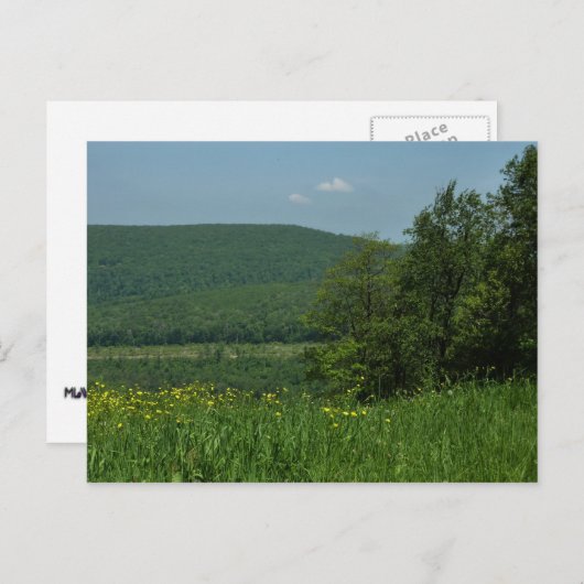 ローレルハイランズペンシルバニア夏の写真 ポストカード (正面/裏面)