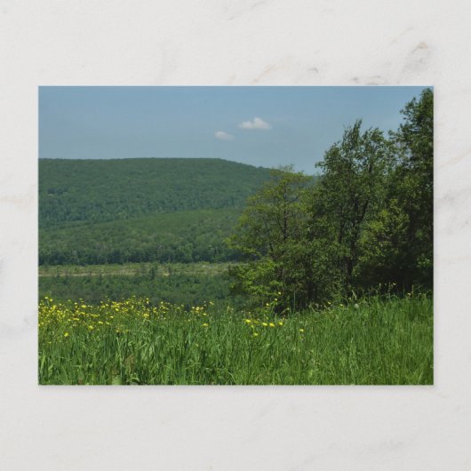 ローレルハイランズペンシルバニア夏の写真 ポストカード (正面)