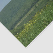 ローレルハイランズペンシルバニア夏の写真 薄葉紙 (詳細)