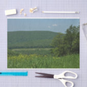 ローレルハイランズペンシルバニア夏の写真 薄葉紙 (クラフト)