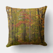 ローレルヒルトレイル秋 クッション (裏面)