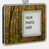 ローレルヒルトレイル秋 シルバープレートフレームオーナメント (右)