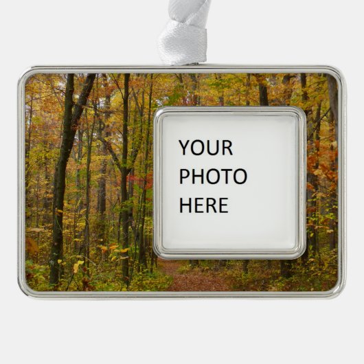 ローレルヒルトレイル秋 シルバープレートフレームオーナメント (正面)