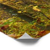 ローレルヒルトレイル秋 ポスター (角)