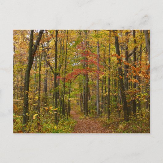 ローレルヒルトレイル秋 ポストカード (正面)