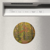 ローレルヒルトレイル秋 マグネット (インサイチュ (食洗機))