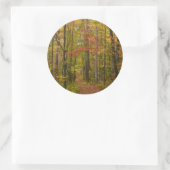 ローレルヒルトレイル秋 ラウンドシール (バッグ)