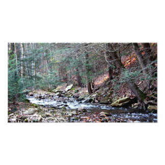 ローレル走3フォトプリント フォトプリント