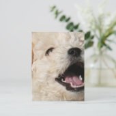 ローレンス葉書 ポストカード (スタンド正面)