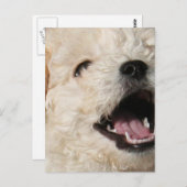 ローレンス葉書 ポストカード (正面/裏面)