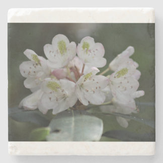 ローレ素晴らしル ストーンコースター