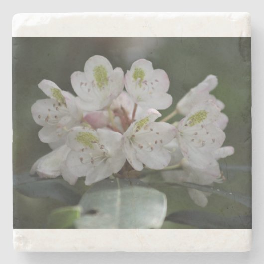 ローレ素晴らしル ストーンコースター (正面)