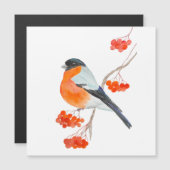 ローワおもしろいンの木の枝の上のブルフィンチ (正面/裏面)