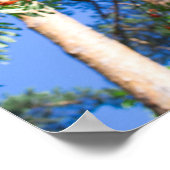 ローワンの木 ポスター (角)