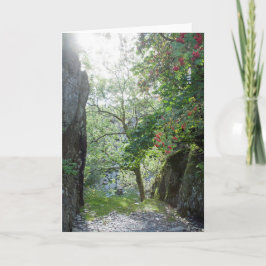 ローワンツリーティルベルツワアイテクアリィ カード