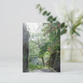 ローワンツリーティルベルツワアイトクアリカード ポストカード (スタンド正面)