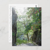 ローワンツリーティルベルツワアイトクアリカード ポストカード (正面/裏面)