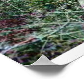 ローワン・ブレア・コルバーによる表層階段 ポスター (角)