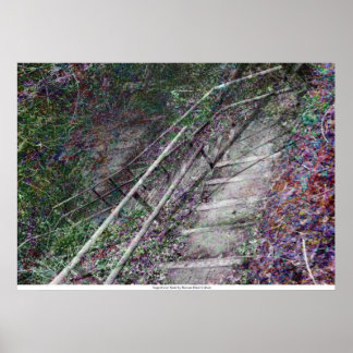 ローワン・ブレア・コルバーによる表層階段 ポスター