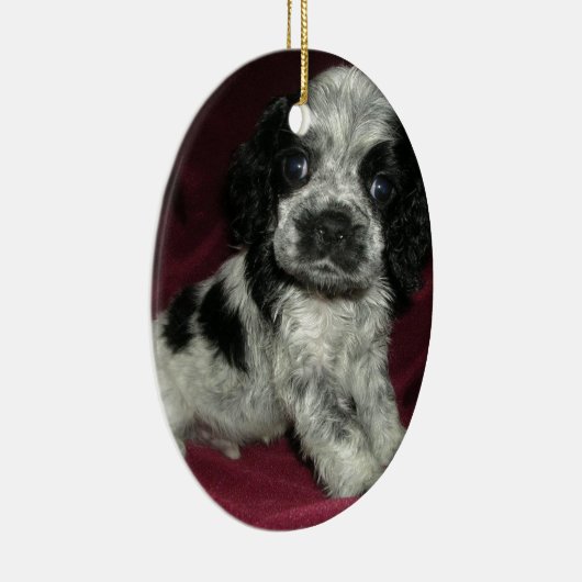 ローンのアメリカン・コッカー・スパニエルの子犬、アポロ セラミックオーナメント (右)