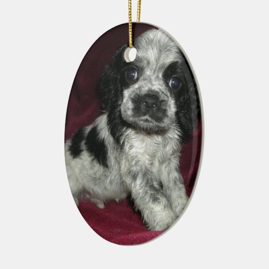 ローンのアメリカン・コッカー・スパニエルの子犬、アポロ セラミックオーナメント (左)