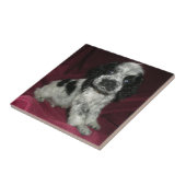 ローンのアメリカン・コッカー・スパニエルの子犬、アポロ タイル (側面)