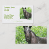 ローンの子馬の名刺 名刺 (正面/裏面)