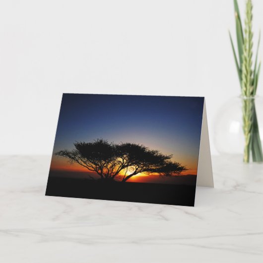 ローンアカシアで炎の赤い日の出，内空白の部 カード (正面)