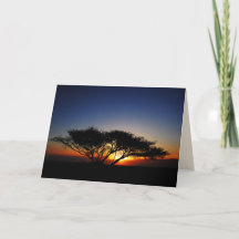 ローンアカシアで炎の赤い日の出，内空白の部