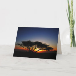ローンアカシアで炎の赤い日の出，内空白の部 カード