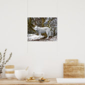 「ローンウルフ」のポスター ポスター (キッチン)