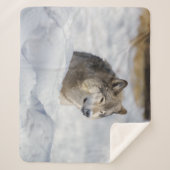 ローンウルフ・イン・スノー シェルパブランケット (正面)