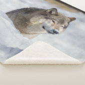 ローンウルフ・イン・スノー シェルパブランケット (3/4)