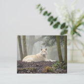 ローンウルフ ポストカード (スタンド正面)