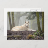 ローンウルフ ポストカード (正面/裏面)