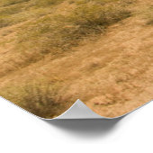 ローンサボテン ポスター (角)