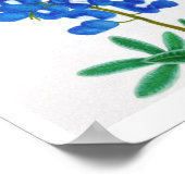 ローンスターブルーボンネットプリント ポスター (角)