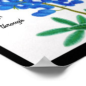 ローンスターブルーボンネット感動的プリント ポスター (角)