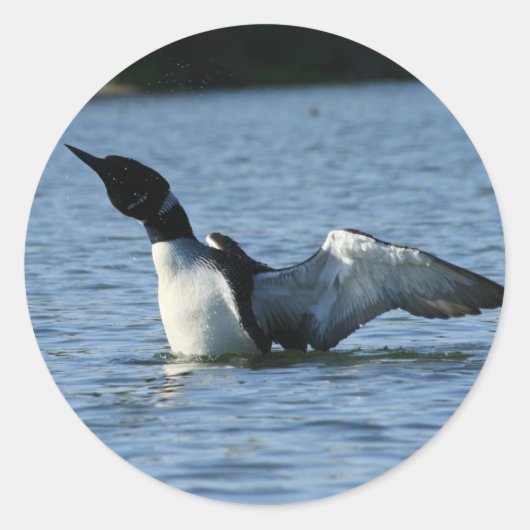 ローンステッカー ラウンドシール (正面)