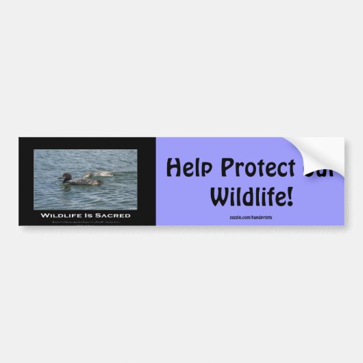 ローンズ感動的ギフト バンパーステッカー (正面)