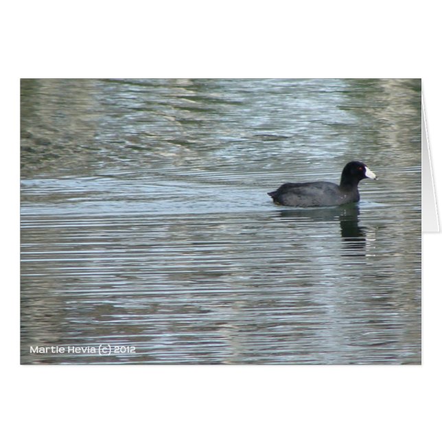 ローンダックII (正面横)