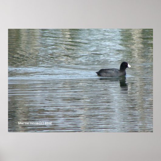 ローンダックII ポスター (正面)