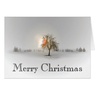 ローンツリークリスマスカード