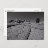 ローンツリーホワイトポケットアリゾナ ポストカード (正面/裏面)