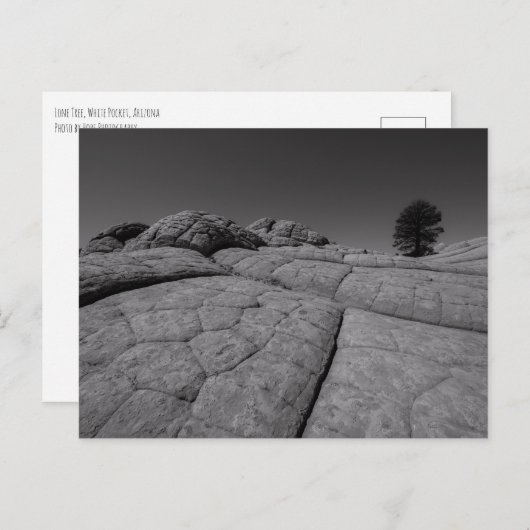 ローンツリーホワイトポケットアリゾナ ポストカード (正面/裏面)