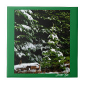 ローンツリー タイル (正面)