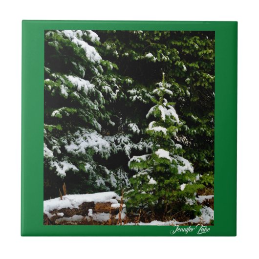 ローンツリー タイル (正面)